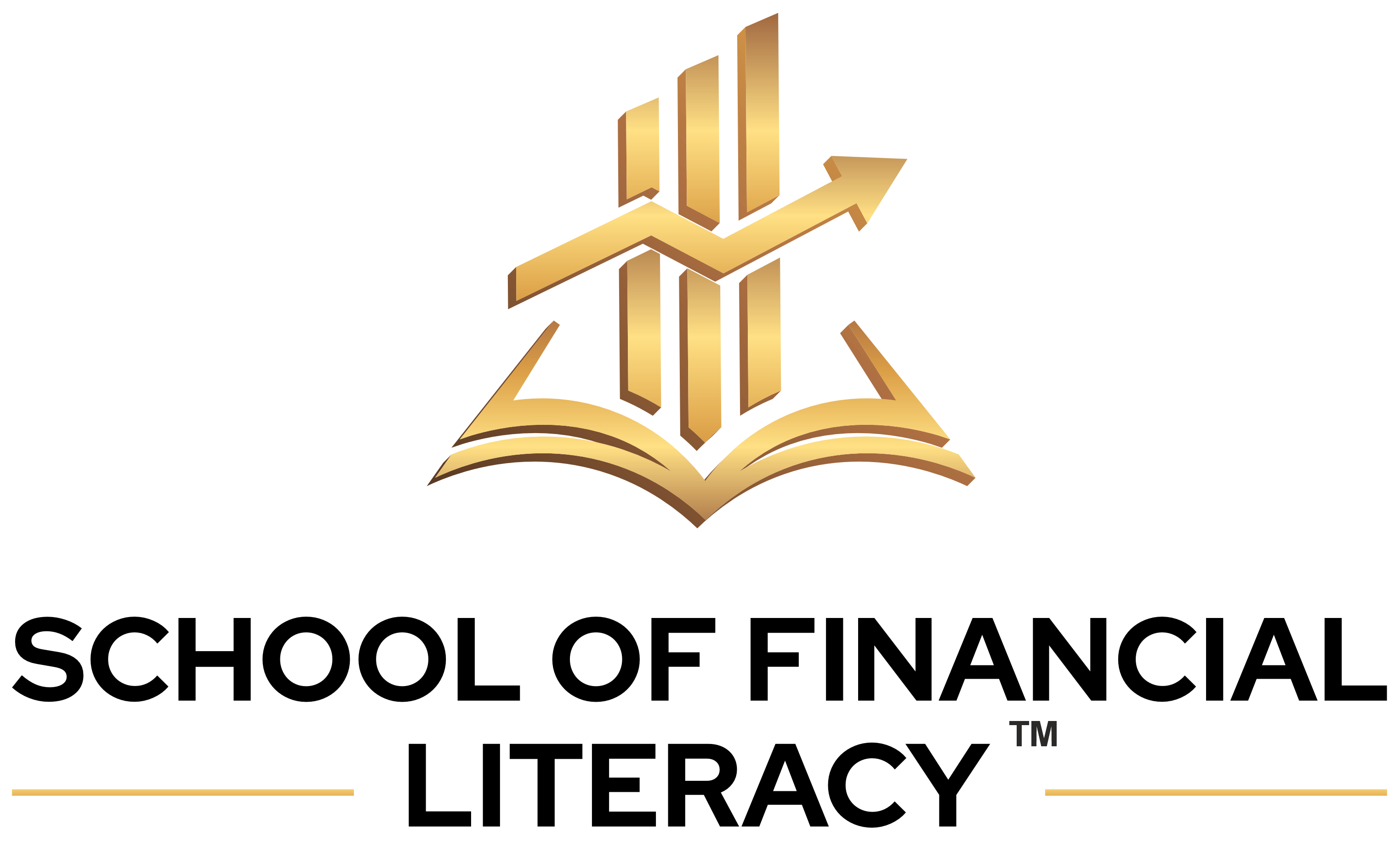 School Of Financial Literacy